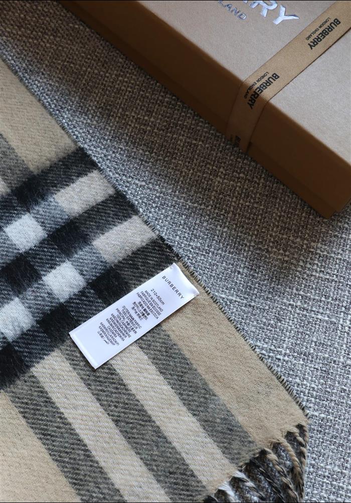 2026116111758862 210